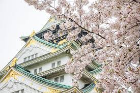 Interior stylish asia / oceania castle green. Our Incredible Osaka Cherry Blossoms Experience Spiritual Travels