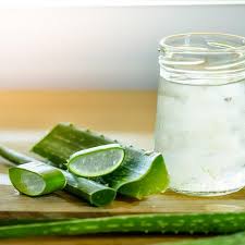 Kandungan vitamin a, e, c, mineral serta anti oksidan di dalamnya mampu memperbaiki kondisi kulit yang teriritasi serta kering. 9 Manfaat Aloe Vera Gel Untuk Wajah Bisa Mengatasi Jerawat Hot Liputan6 Com