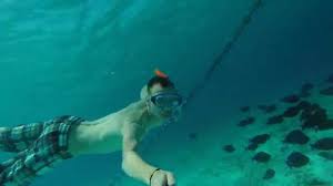 Snorkelen Op Klein Curacao Youtube