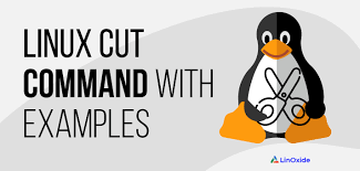 Otra forma de utilizar grep es utilizando el stdin menor qué (<). Comando De Linux Cut Con Ejemplos Practicos