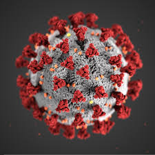 Eid Journal Created A Spotlight Topic Page To Make It Easier To Locate Articles About Covid 19 As Well As Other Coronavirus Diseases In Both Humans Animals