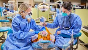 Dental examination and diagnosis