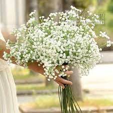 Pin On Bouquet Search