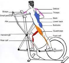 5 Solid Benefits Of Elliptical Machines Elliptical Workout Elliptical Benefits Eliptical Workout