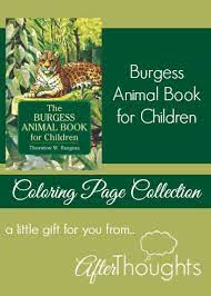 See more ideas about bird book, free printable coloring pages, bird coloring pages. The Burgess Animal Book For Children Coloring Page Collection Afterthoughts