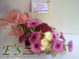 We did not find results for: Bunga Meja