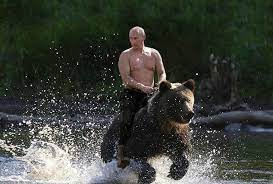 The best gifs are on giphy. Putin Riding Bear Blank Template Imgflip