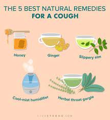 The 5 Best Natural Remedies For A Cough, According To A Doctor | Livestrong