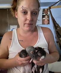 Free female rats in northern New Jersey need home