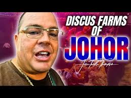 Touring Discus Fish Farms in Malaysia 🇲🇾