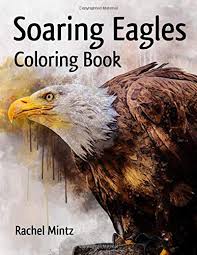 Browse the large choice of totally free coloring sheets for kids to find educational, animations, nature, animals, holy bible coloring sheets, and also many more. Birds Of Prey Coloring Book Mimbarschool Com Ng
