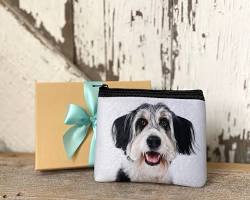 pouch with a pet photoの画像
