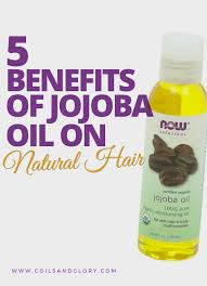 Meet your new hair and skin savior. Benefits Of Jojoba Oil On 4c Natural Hair Coils And Glory