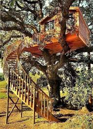 Pin Auf Beautiful Tree Houses
