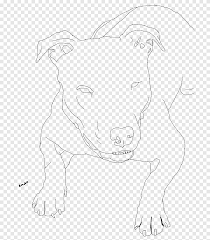 Dibujos Para Colorear De Pitbull Terrier Americano Cachorro Pitbull Mamifero Animales Png Pngegg Anuncios de perros de todas las razas pitbull red nose. animales png