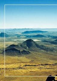 Image result for Plinthus karooicus