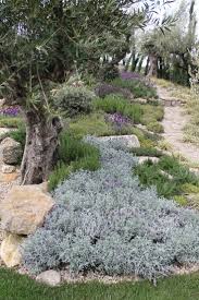 38 Eye Catching Mediterranean Backyard Garden Decor Ideas Gardenoholic Mediterranean Garden Design Mediterranean Garden Mediterranean Landscaping