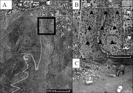 Greeicy rendón nos contó la cirugía a la que se sometió y cómo mantiene su cuerpo. Too Much Of A Good Thing A Landscape Of Fear Analysis For Collared Peccaries Pecari Tajacu Reveals Hikers Act As A Greater Deterrent Than Thorny Or Bitter Food