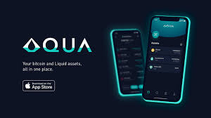 Aqua (countable and uncountable, plural aquas or aquae). Introducing The Aqua Wallet