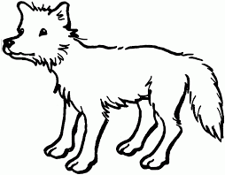 Find free printable coyote coloring pages for coloring activities. Coyote Pictures For Kids Coloring Home