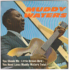 Muddy Waters EP ; You Shook Me / Little Brown Bird / You Need Love / Muddy  Waters Twist – intoxica