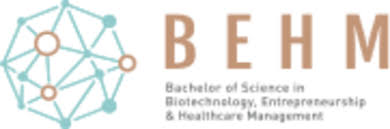 香港中文大学- BEHM - 精选案例- 香港一站式专业网页设计与系统 ...