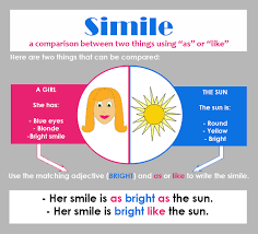 Hasil gambar untuk SIMILE