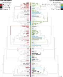 Let us discuss the symmetry in flowers. The Evolution Of Floral Symmetry Sciencedirect