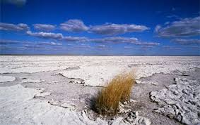 Makgadikgadi Salt Pans Botswana Africa Safari Africa Travel Favorite Places