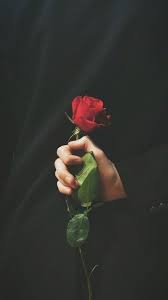 Pin By Ssidahmed On Omg Aesthetic Roses Rose Wallpaper Beautiful Wallpapers