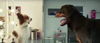 Movie Review Show Dogs Won T Show Up On Any Resumes Movie Nation