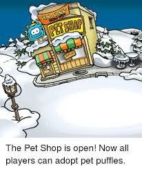 Learn more about our business and our team! The Pet Shop Is Open Now All Players Can Adopt Pet Puffles Dank Meme On Me Me