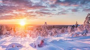Welk land grenst aan rusland? Natuur En Wildlife In Finland En Lapland Wildlife Spotten
