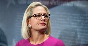 What drives Sinema? A different view of politics