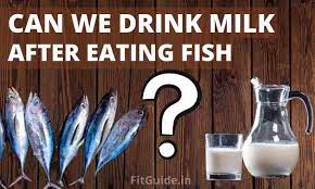 Can We Drink Milk After Eating Fish If Yes How Fitguide