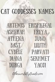 Many of the names found here are egyptian in nature so there are a good many references to goddess and solar symbols, mythologies, sun gods, temples. List Of Cat Goddesses Names Including Bast Erishkegal And Yaoji Egyptian Cat Goddess Egyptian Goddess Names Bastet Goddess