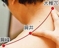 Image result for 肩井穴位位置图