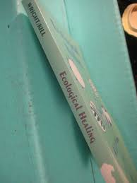 Ecological Healing : A Christian Vision by Nancy G. Wright and Donald Kill  (1993, Trade Paperback) for sale online