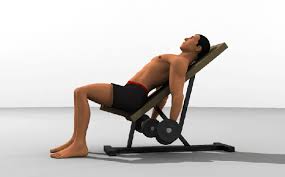 We did not find results for: Incline Dumbbell Curls For Biceps Burns 85 Calories Workouts 4 Fitness