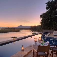 Image result for Grangea zambesiaca