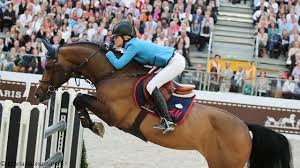 Och då satte han en felfri runda. Equestrian Jumping Horses Equestrian Horse Jumping