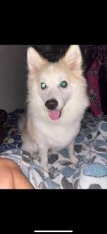 Scranton: Unknown male