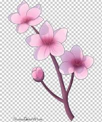 It is a very clean transparent background image and its resolution is 750x750 , please mark the image source when quoting it. Cherry Blossom Drawing Flower Petal Png Clipart Art Blossom Branch Cherry Cherry Blossom Free Png Download