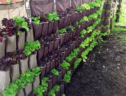 Growing in shoe organizer vertical planters part 1. How To Make A Hanging Garden Using Shoe Organizers The Garden