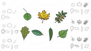 Am besten gleich ausdrucken und ins handschuhfach legen. Wie Man Ein Herbstblatt Mit Einem Bleistift Zeichnet
