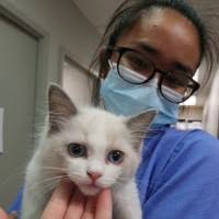 50+ "Kyla Perez" profiles