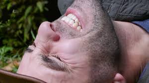 Guy Gets Stung By A Bullet Ant And Freaks Out What S Trending Now Youtube