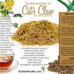 Olive Leaf Extract Benefits Uses Dosage And Side Effects In 2020 Olive Leaf Benefits Olive Leaf Healing Herbs