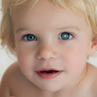 Teoman Tiftik, Barbara Litschauer, Robert Babel : Verstärkung für Forbes  Austria : Das neue Wirtschaftsmagazin für Österreich holt sich Experten an  Bord : © Fotograf: Elke Mayr/Fotocredit: Forbes Austria Bild 38638 //