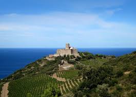 Fort Saint Elme Collioure Fr Parcs Pyrenees Orientales Les Rocheuses